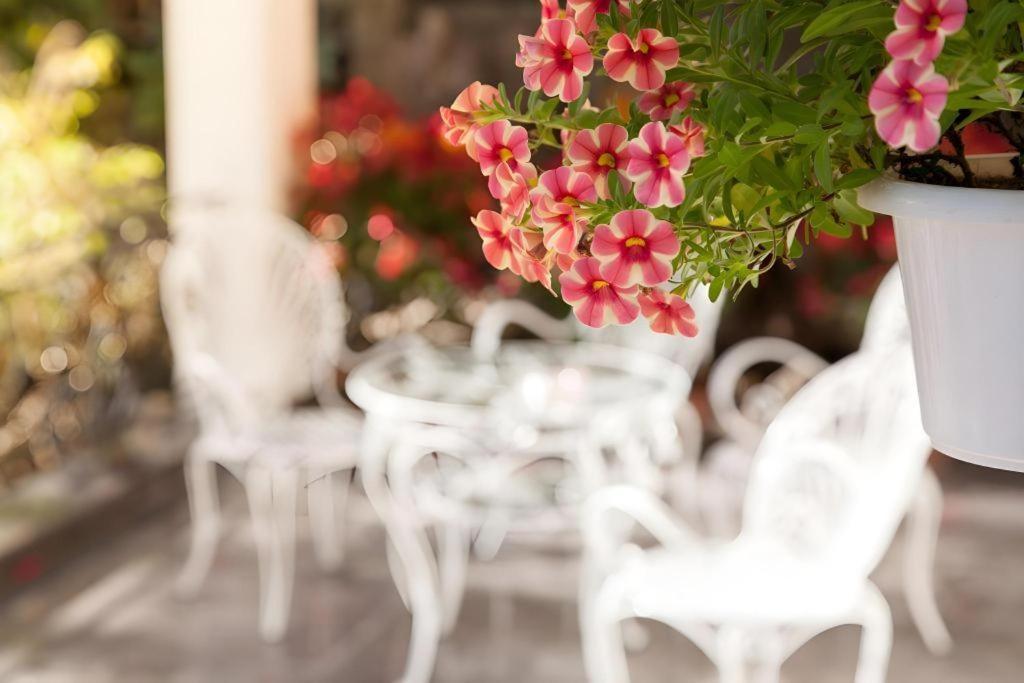 Hoa Sen Vang Hotel Dalat Luaran gambar